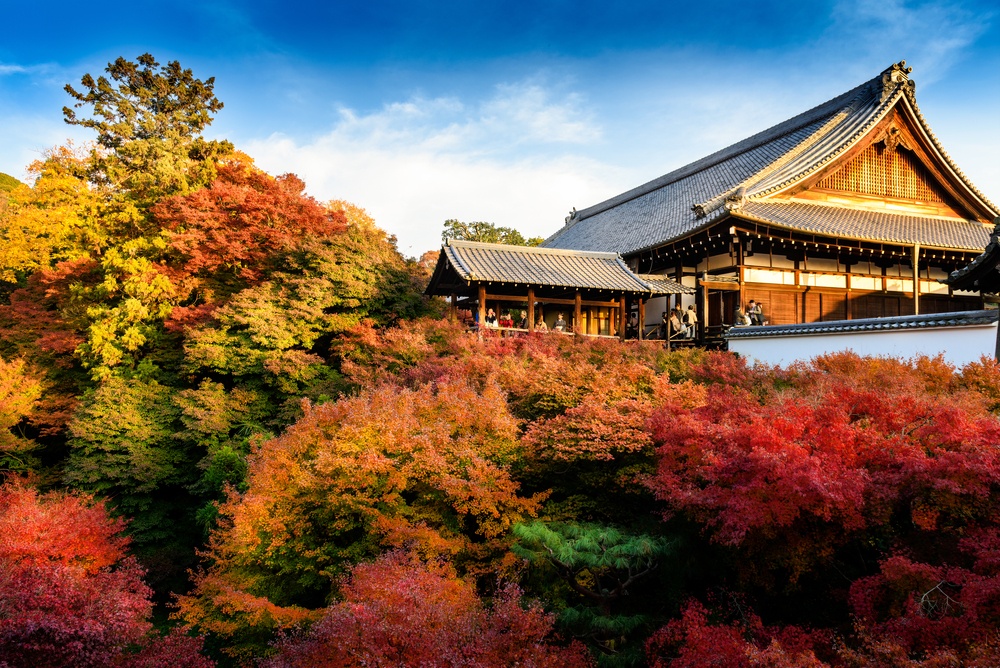 Kyoto Autumn