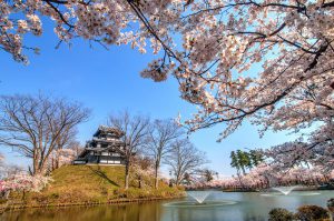 14-Day Pass – Cherry Blossom Deluxe Itinerary