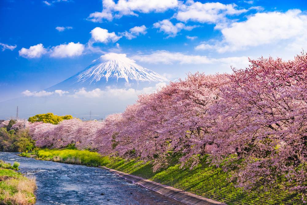 Tokyo To Mount Fuji Japan Rail Pass Now Usa