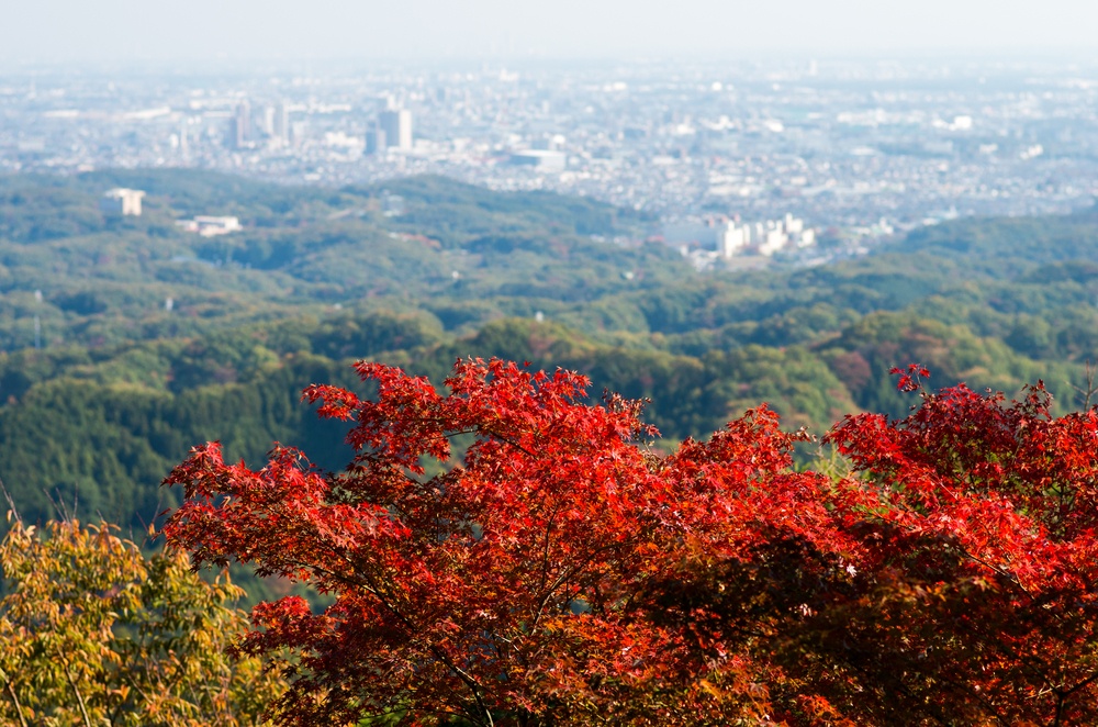 Takao mountain,tokyo,japan autumn