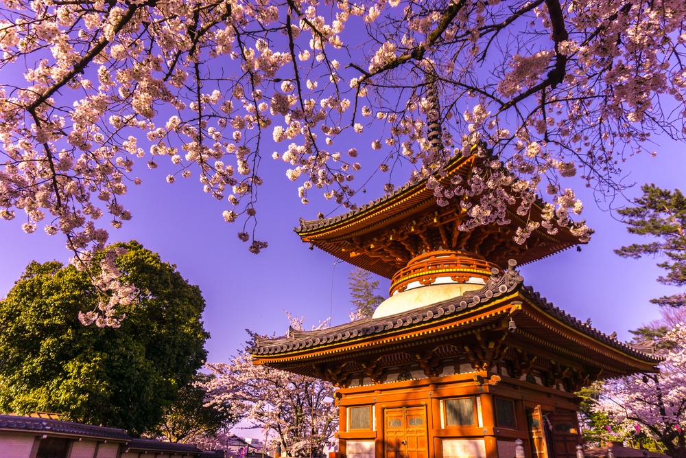 Kitain temple in springtime at Kawagoe town saitama in Japan