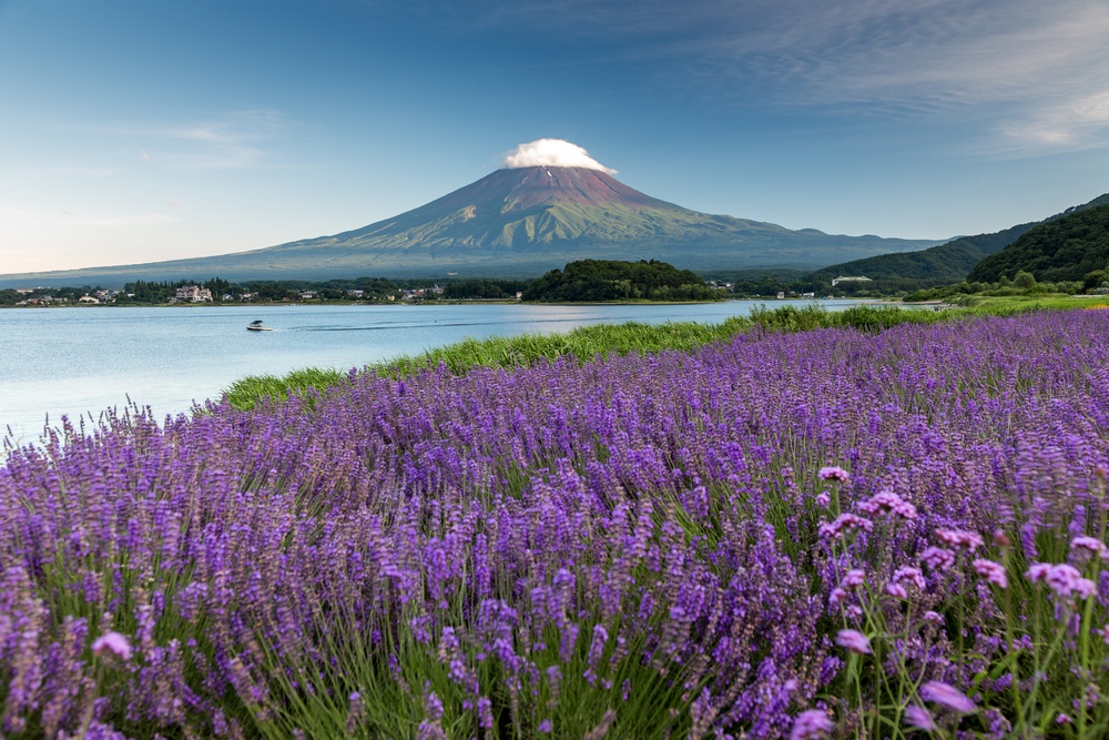 Mount fuji at Lake kawaguchiko. Milky Way. fuijsun in japan