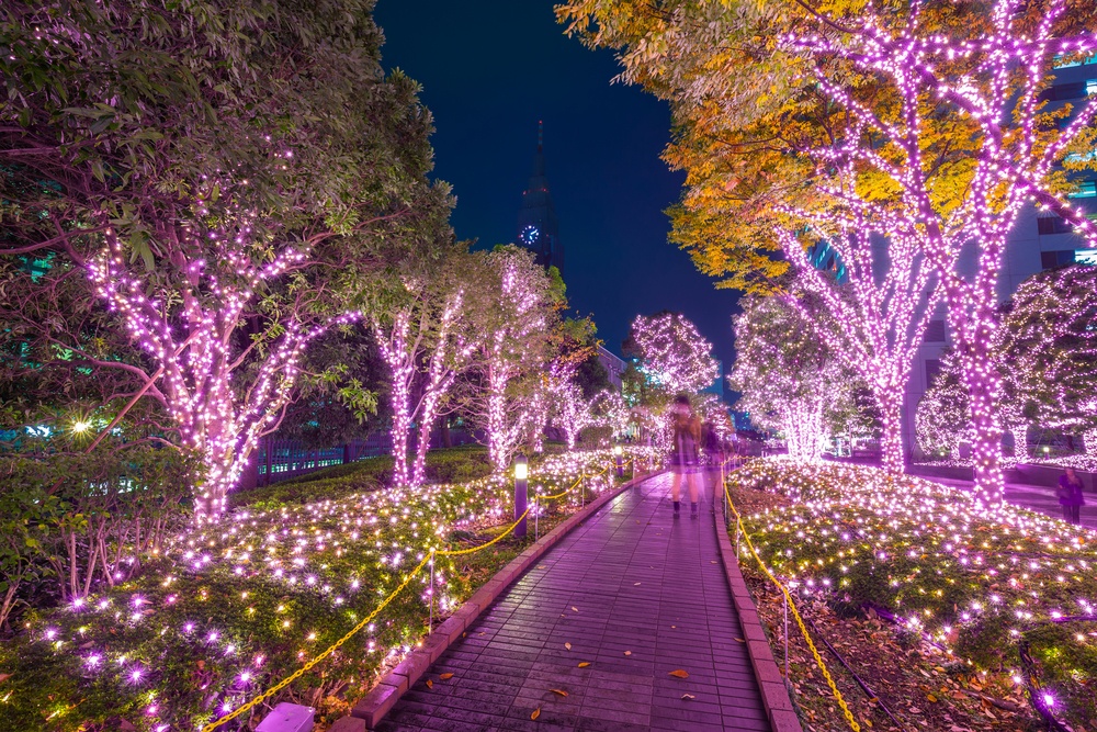 Winter illumination in Tokyo at Shinjuku district, Japan