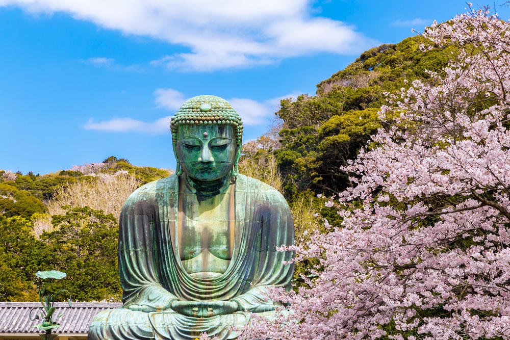 the Great Buddha.The foreground is cherry blossoms Located in Kamakura