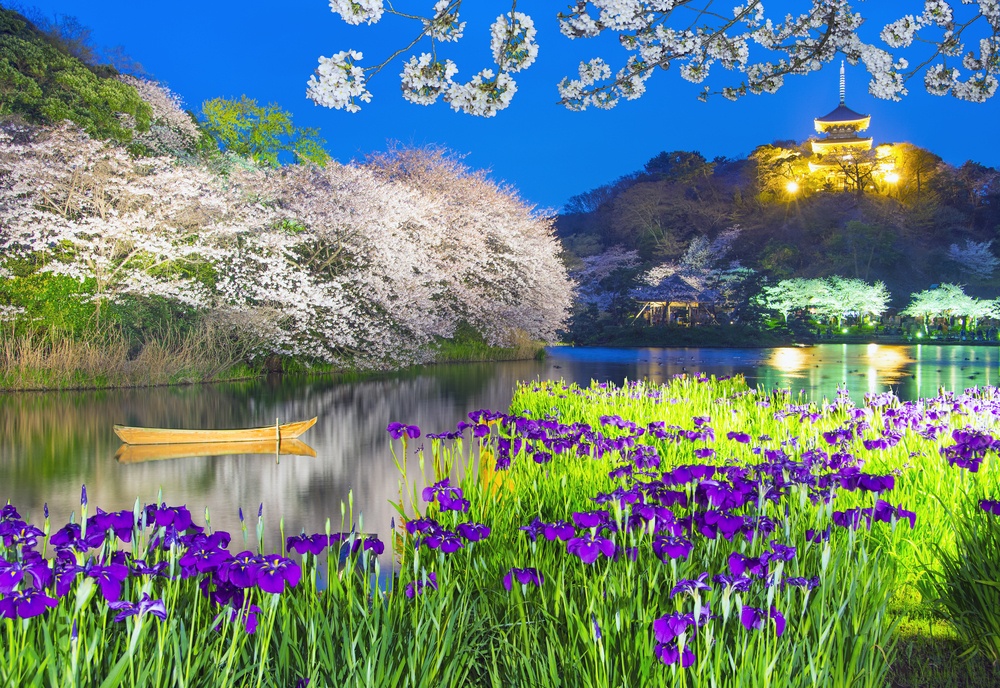 Japanese Garden at Night