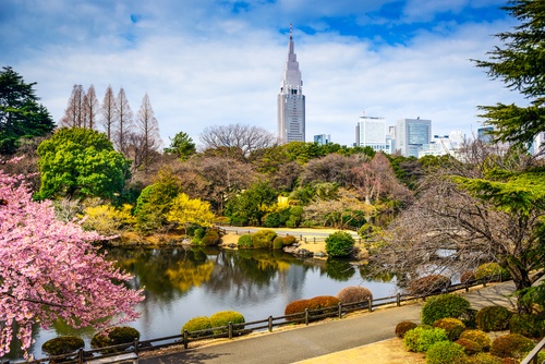 Shinjuku Gyoen