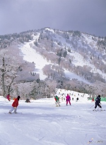 Appi Kogen Ski Resort