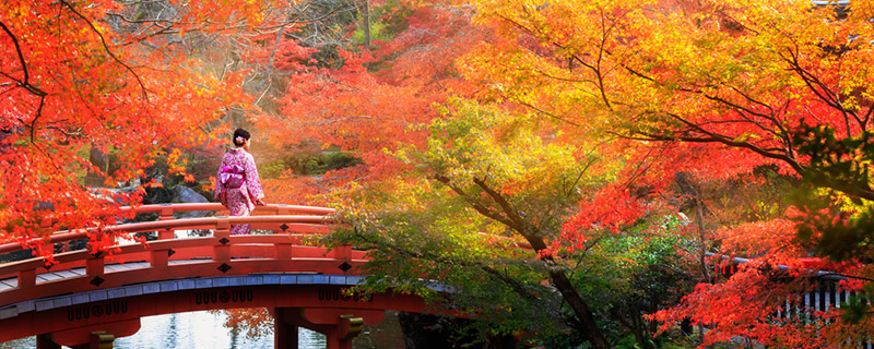 Japan-Gardens