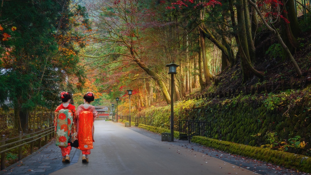 Japanese Geisha on a Misty Road