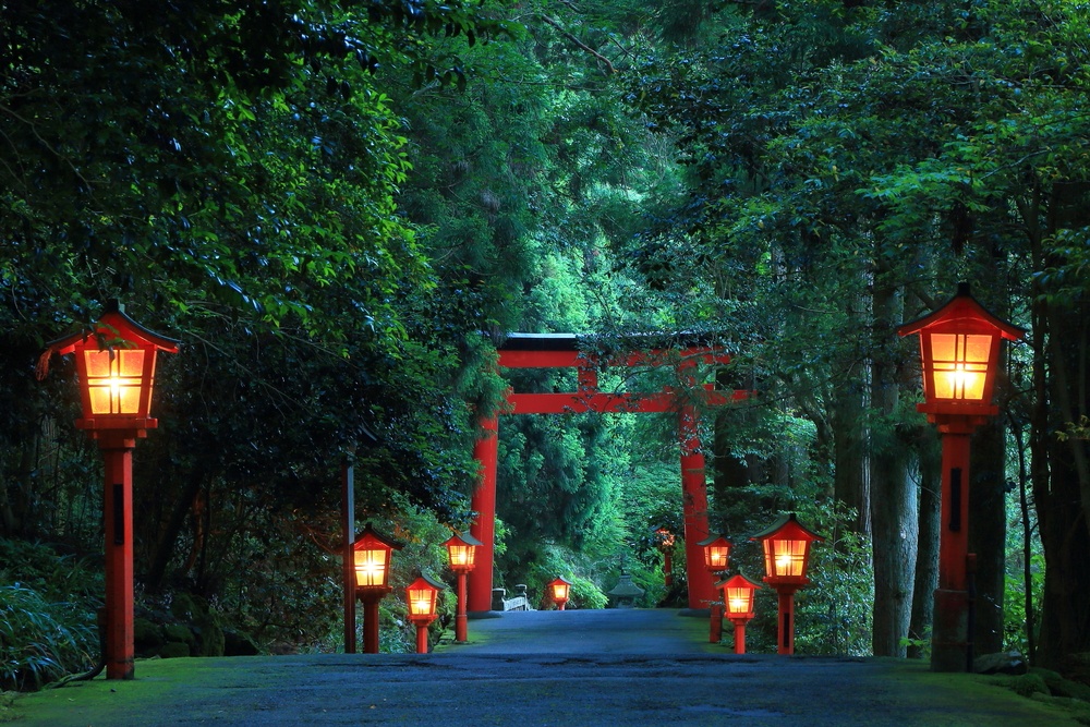 he night view of the approach to the Hakone shrine in a cedar forest. With many red lantern lighted up and a great red torii gate