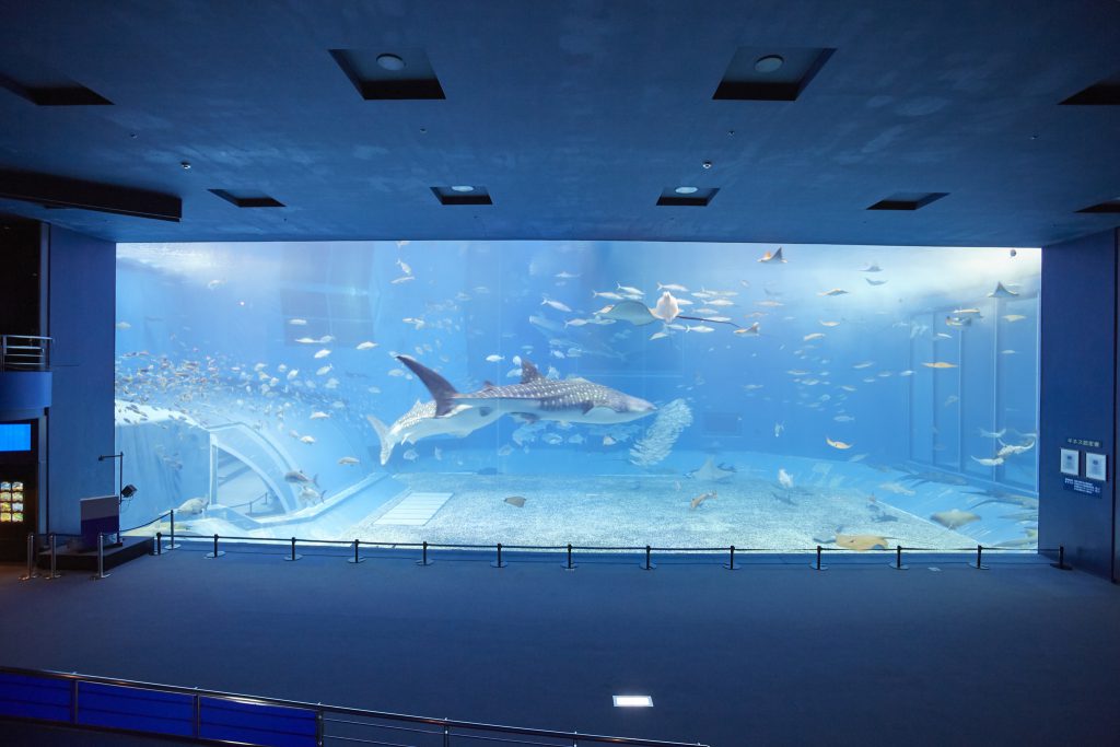 Churaumi Aquarium - ©JNTO