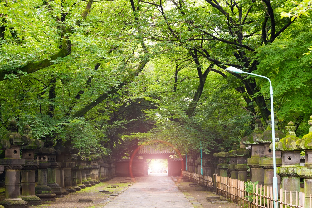 The walkway inside the Kaneiji Temple and lens Flare Conceptual solution of the problem