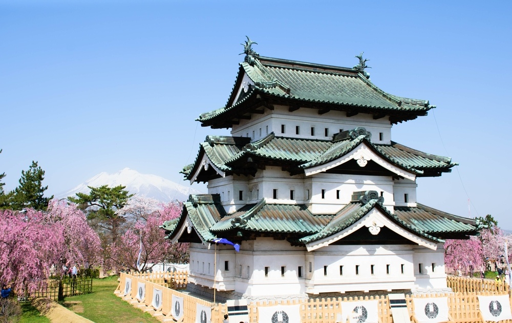 sakura full blossom at Hirosaki castle