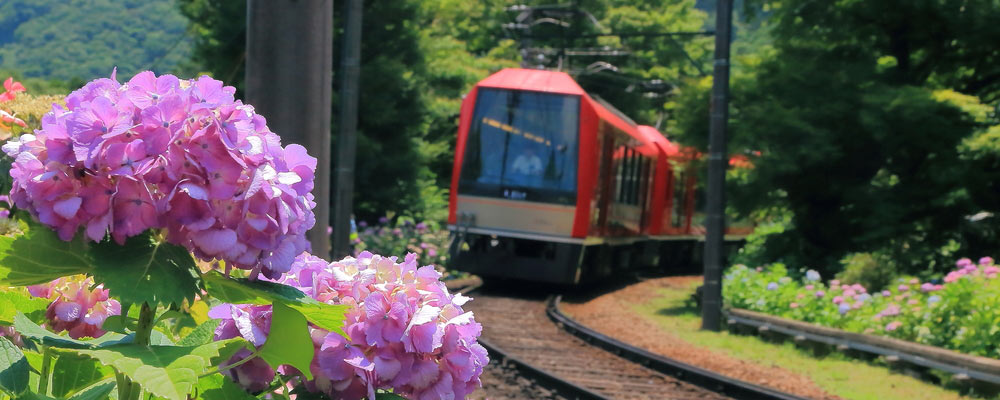 Hakone-Header