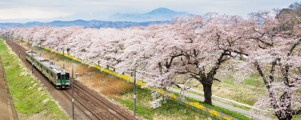 Sendai-Header