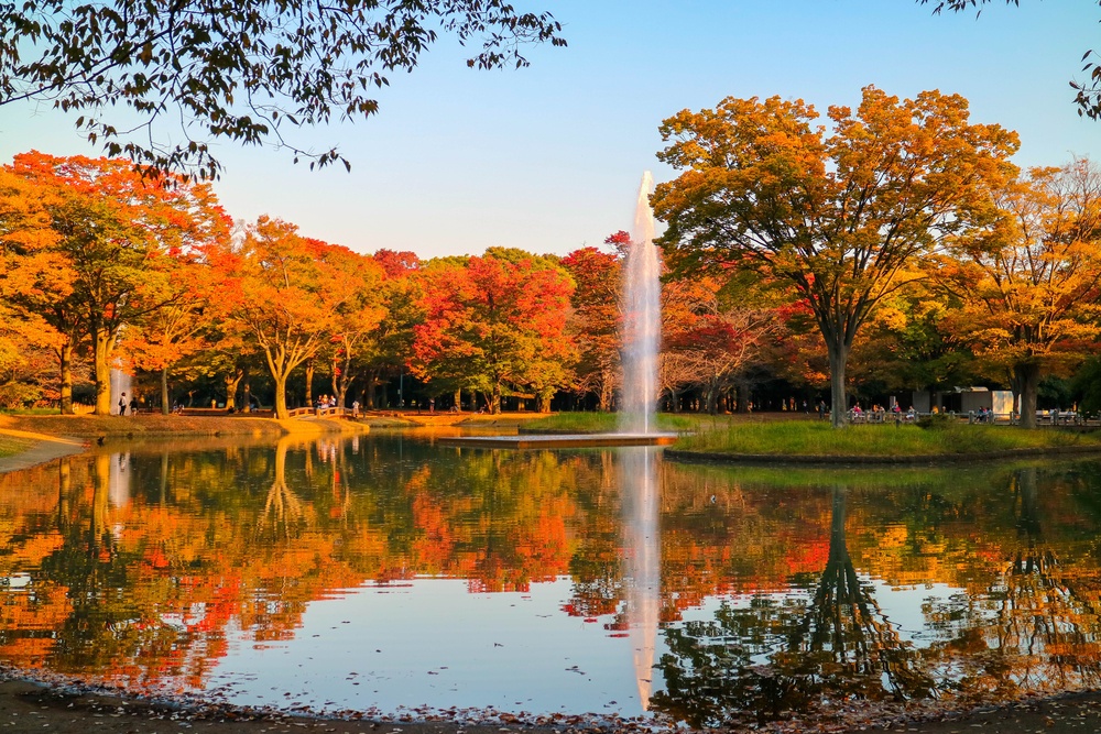 Warm shades of dusk and autumn leaves Yoyogi Park