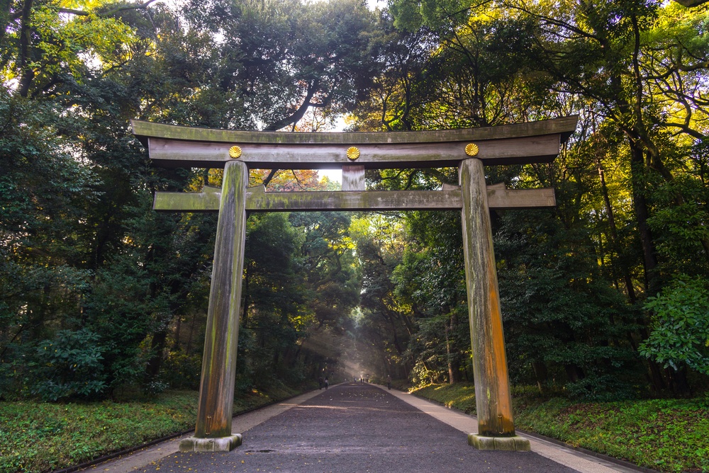 Torii of Meiji Jingu Shrine