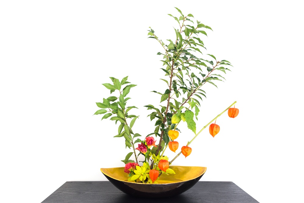 Autumnal japanese flower arrangement (ikebana) with physalis