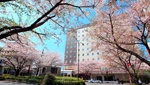 Hotel Mets Komagome 2