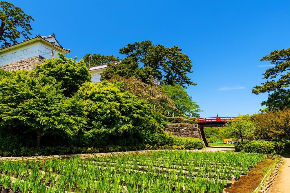 Red bridge to Odawara castle against blue sky, Japan