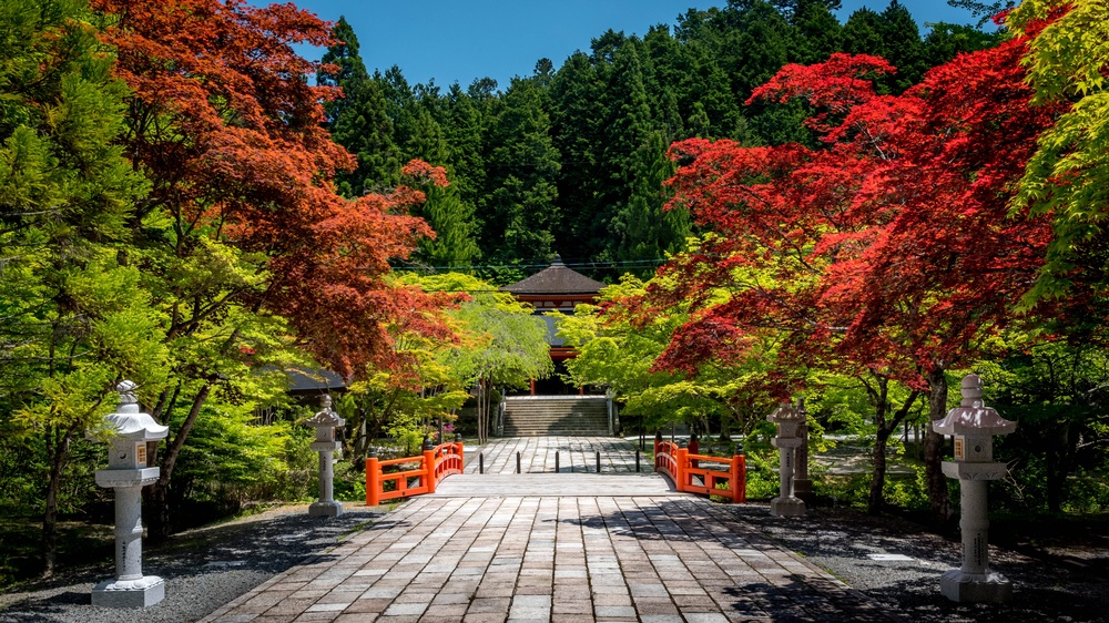 Colorful serene nature in Koyasan, Japan