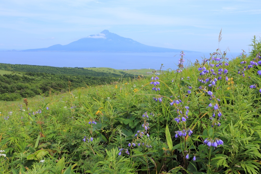 Beautiful scenery at Rebun island, Hokkaido, Japan