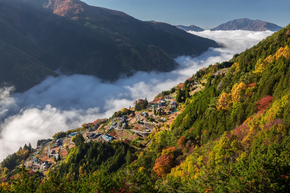 Shimoguri no sato, Nagano prefecture, Japan