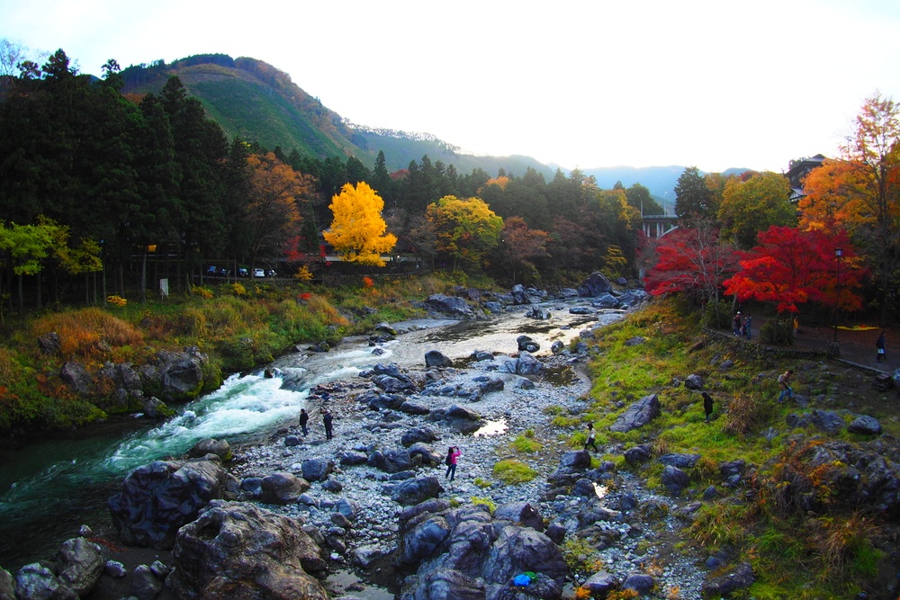 Colorful leave in autumn at mount Mitake, Japan